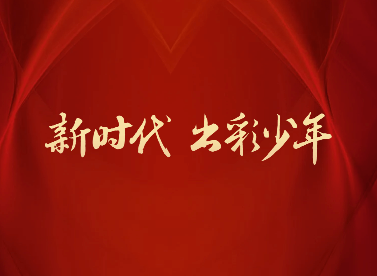 新时代出彩少年全国组委会